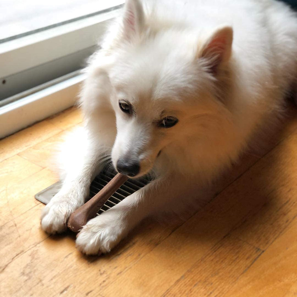 SPOT Bambone Bone: mantiene a tu perro entretenido y enfocado por horas.