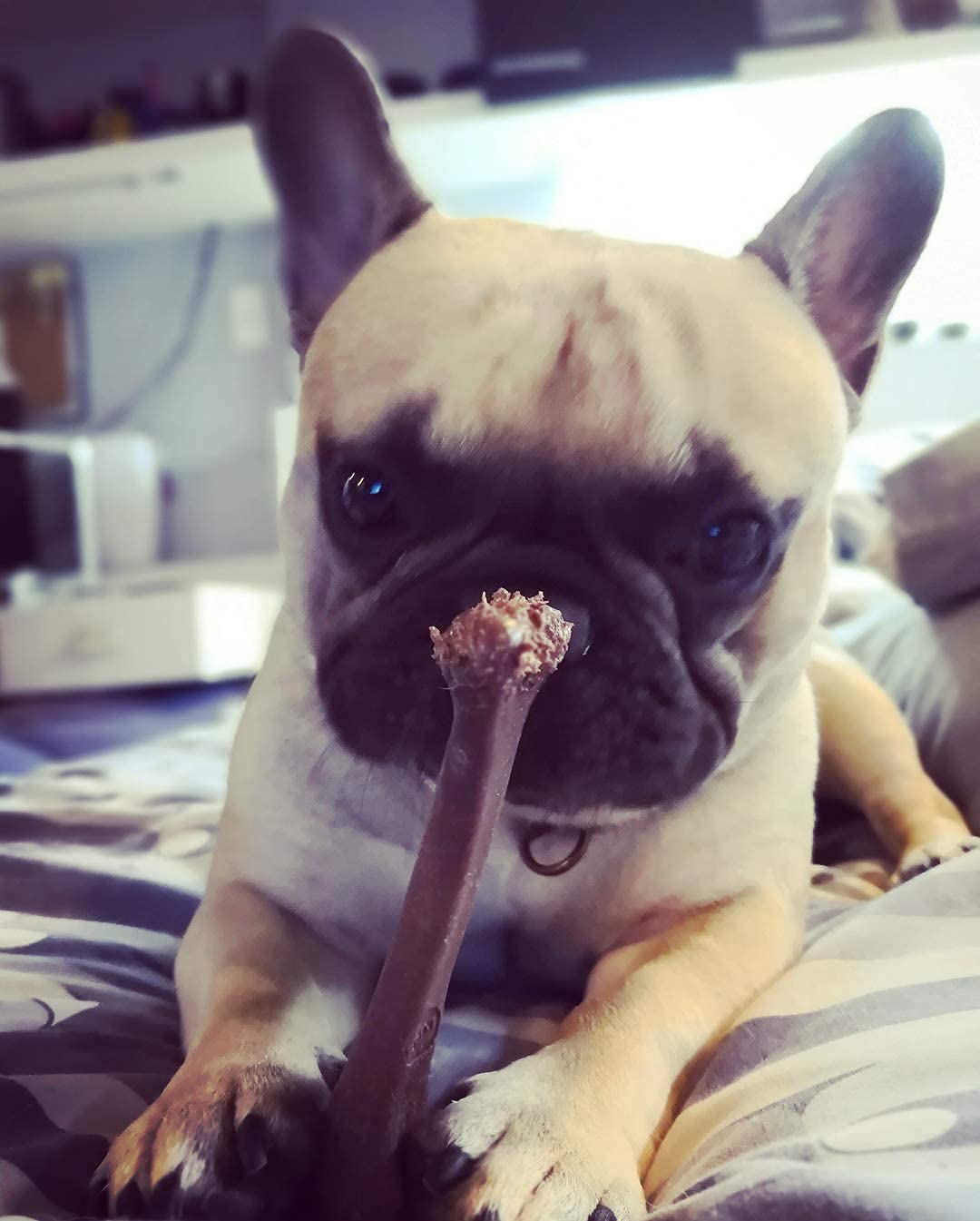 SPOT Bambone Bone: perfecto para uso diario en paseos y juegos en casa.