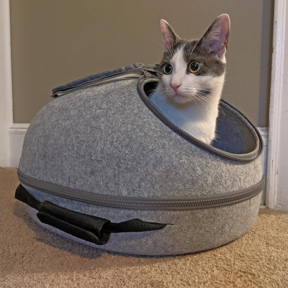 SPOT Doc & Phoebe’s funda interior lavable: limpieza sencilla