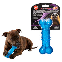SPOT Hueso aromatizado con tocino para perros, ideal para juego