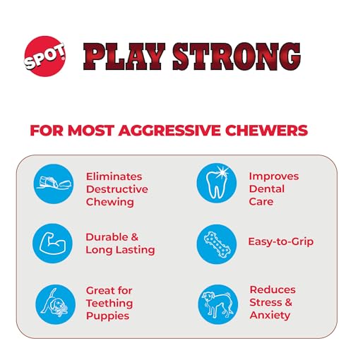 SPOT Play Strong Bone masticando, resistente para perros activos.