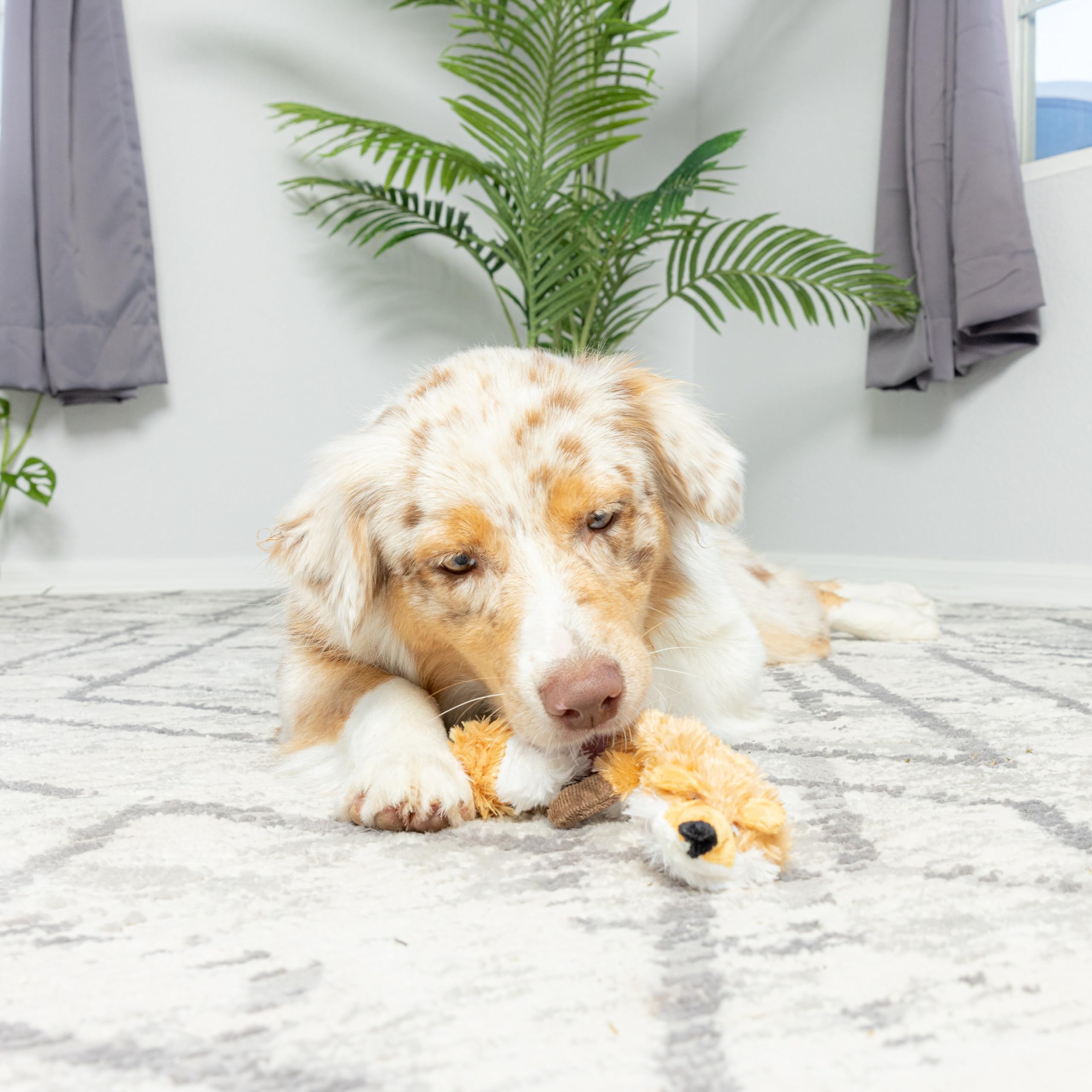 SPOT Skinneeez Extremo Zorro de 23 pulgadas para perros grandes