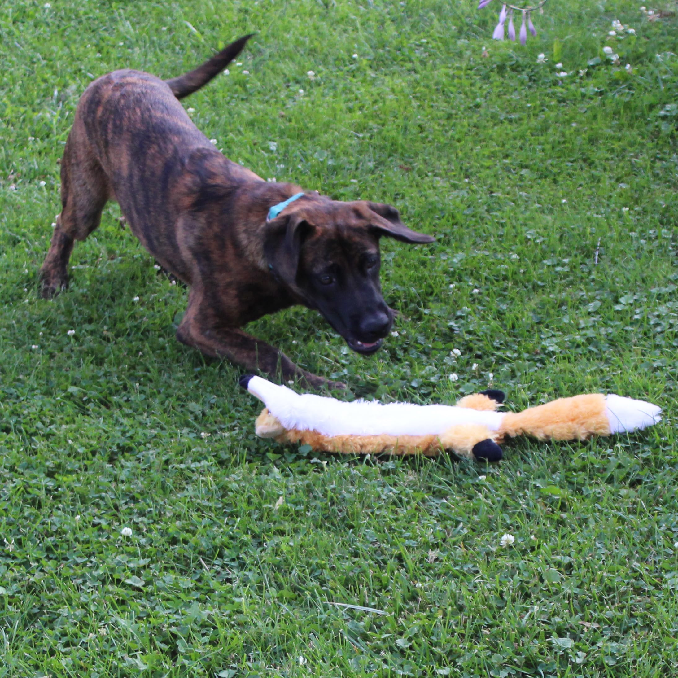 SPOT Skinneeez Extremo Zorro para perros grandes y activos
