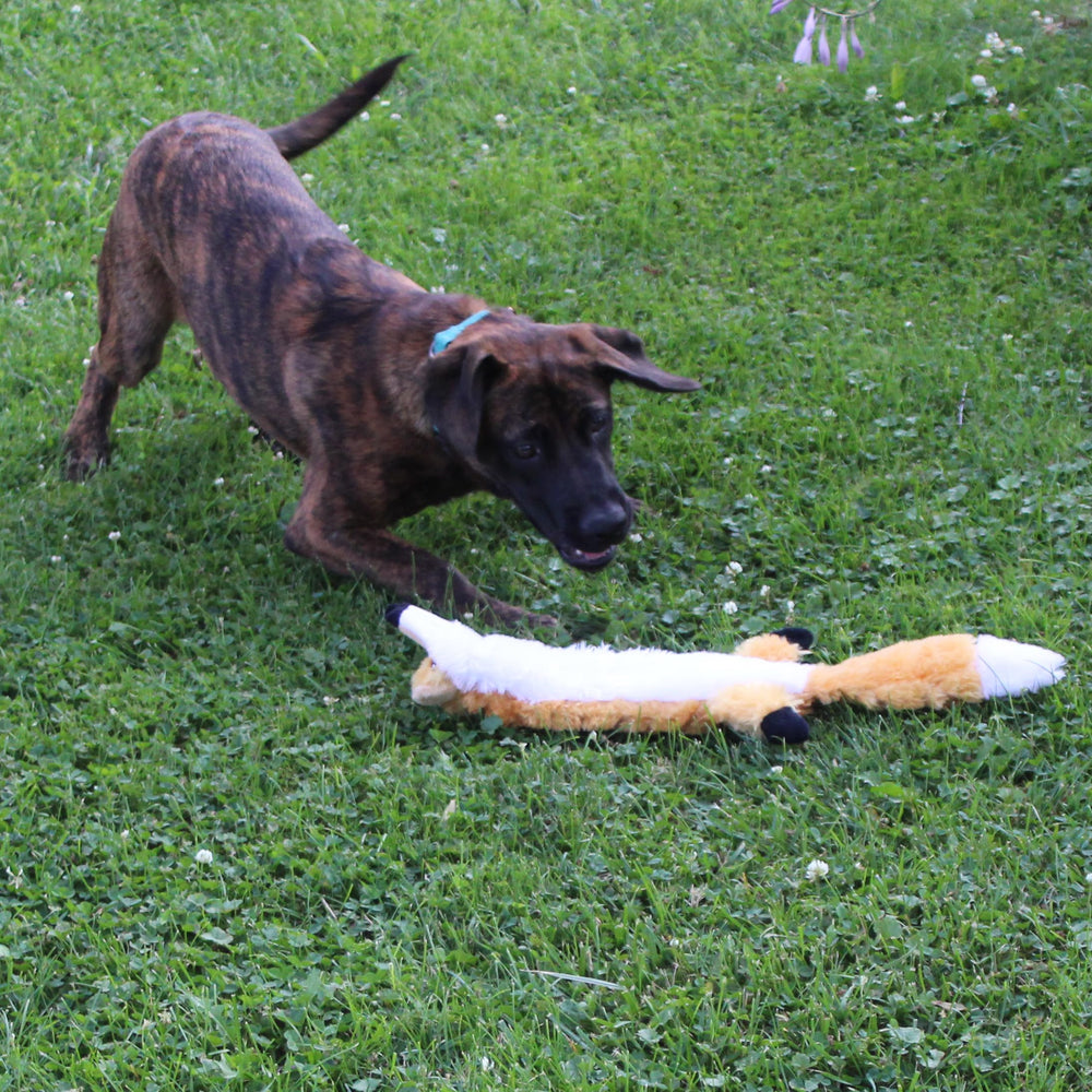 SPOT Skinneeez Extremo Zorro para perros grandes y activos