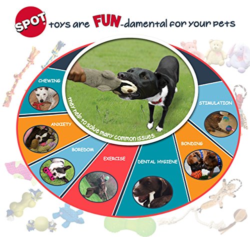 SPOT Skinneeez Gato Plano Tigre, útil para juego solitario en casa.