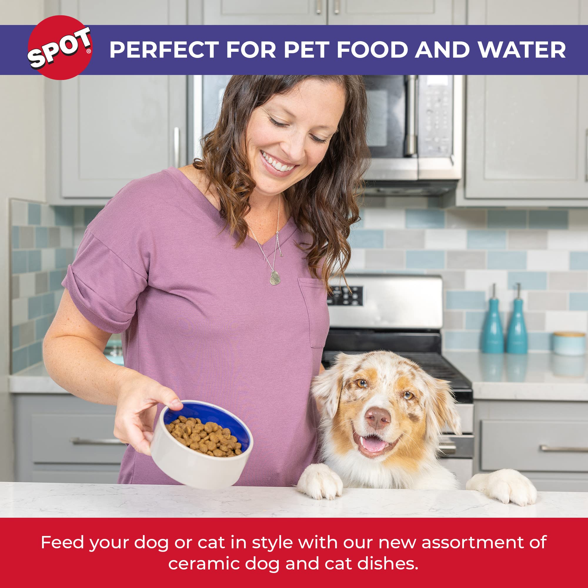 SPOT tazón antideslizante para gatos y perros pequeños, reduce derrames.