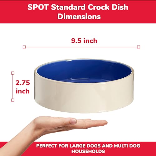 SPOT tazón cerámico con pared alta para evitar derrames.