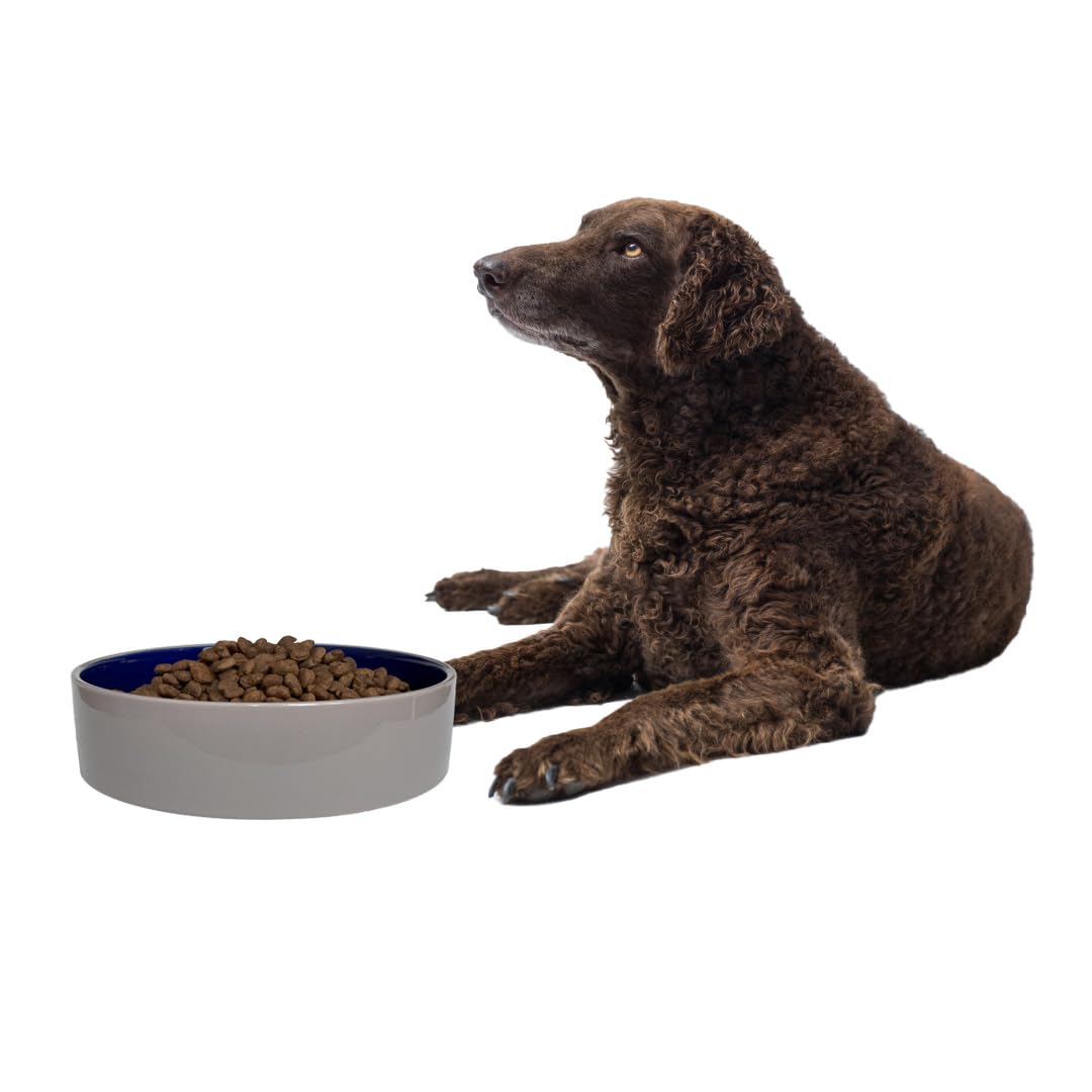 SPOT uso versátil para kibble, comida húmeda o agua.