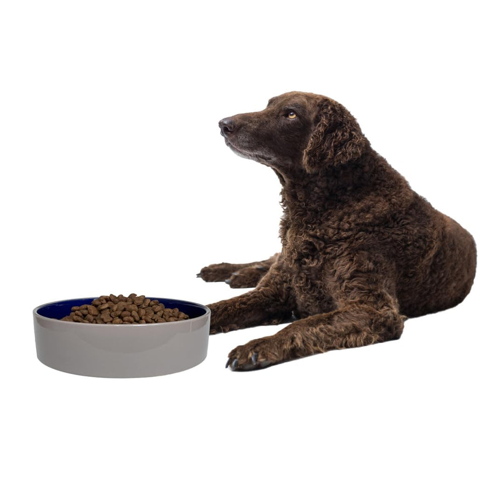 SPOT uso versátil para kibble, comida húmeda o agua.
