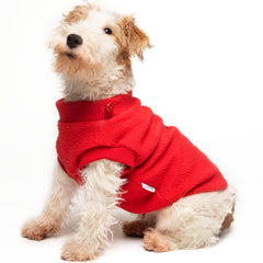 Sprypetto suéter de forro polar para perros pequeños rojo XL, cálido y seguro para paseos nocturnos.