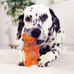 Spunky Bear: colores-neon para mayor visibilidad y atractivo visual.