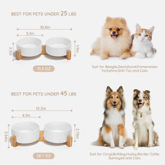 SPUNKYJUNKY tazón doble para comida y agua, ideal para mascotas pequeñas a medianas
