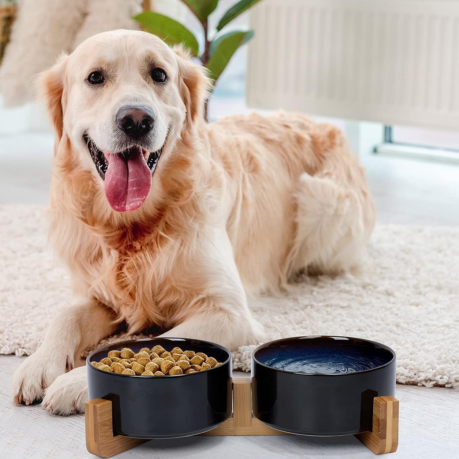 SPUNKYJUNKY: tazón cerámico para perro con base de madera, seguro y estable.