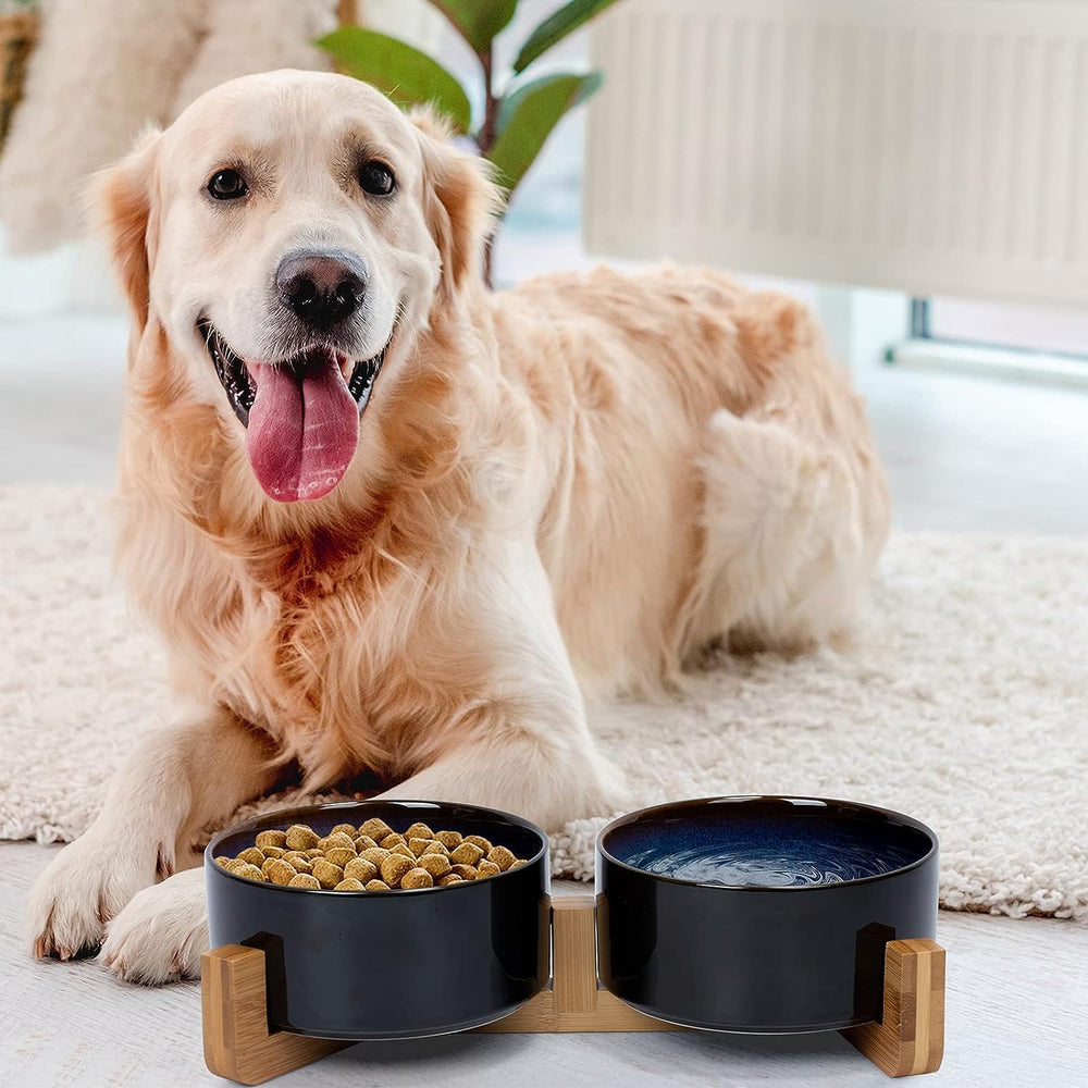 SPUNKYJUNKY: tazón cerámico para perro con base de madera, seguro y estable.