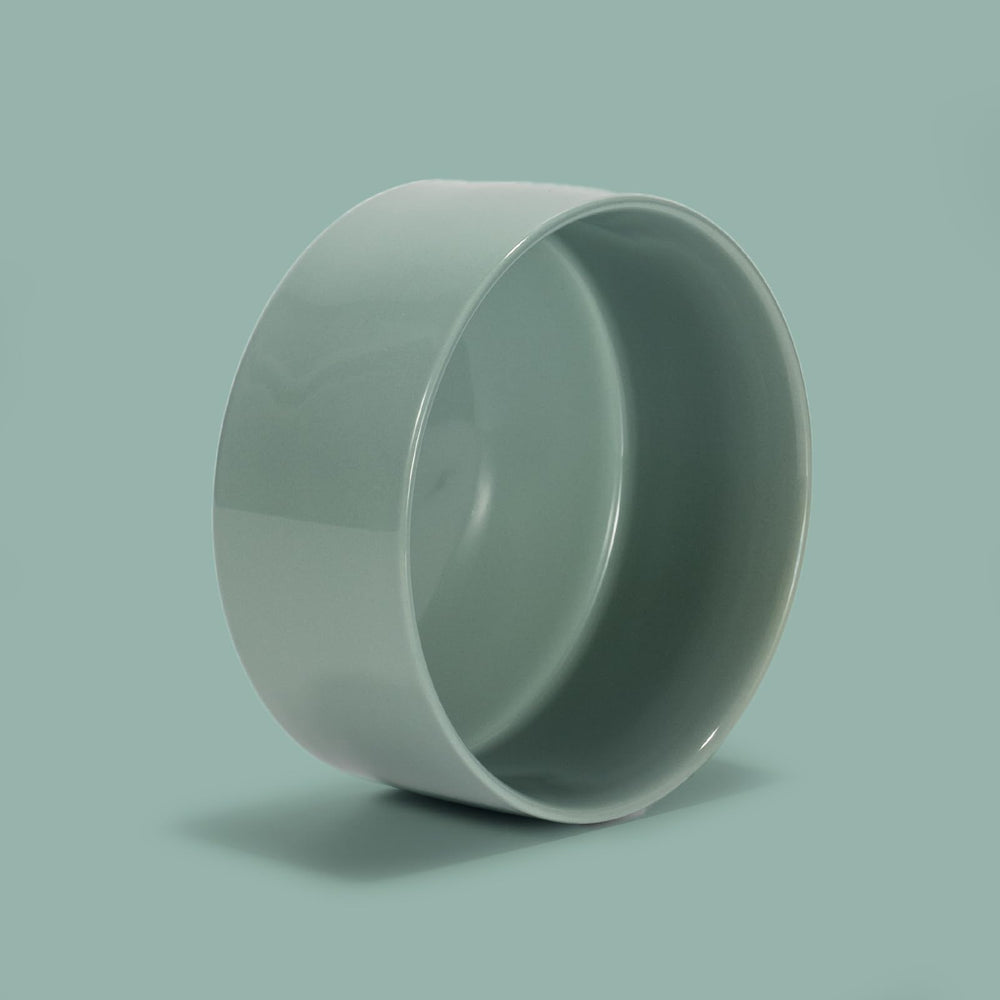 SPUNKYJUNKY tazon ceramico capacidad 13-5oz para porciones adecuadas