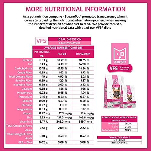 SquarePet VFS calabaza con fibra natural para el tránsito intestinal.