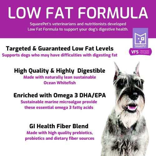 SquarePet VFS fibra dietaria, prebióticos y probióticos para salud intestinal.
