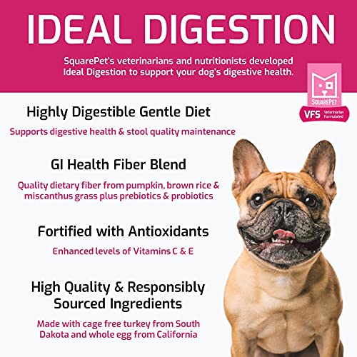 SquarePet VFS huevos enteros sin jaula, fuente de proteína de calidad.