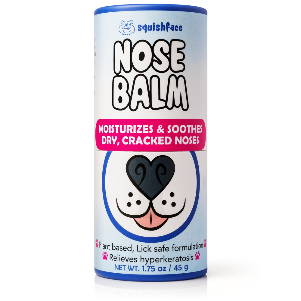 Nariz de perro de todas las razas con Squishface recibiendo cuidado.