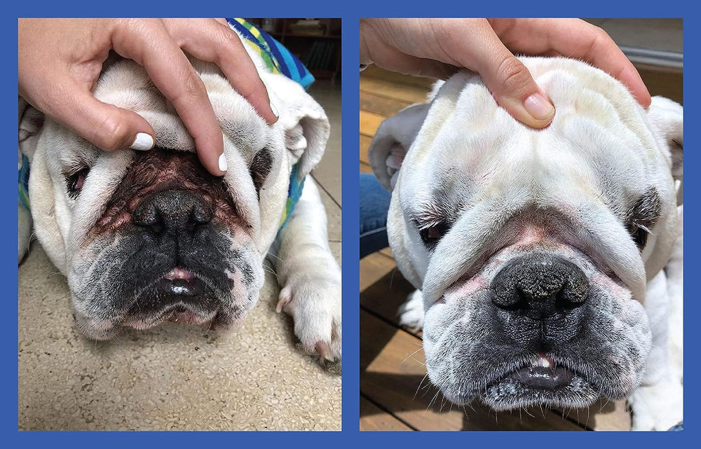 Squishface Wrinkle Paste mancha lágrima: ayuda a reducir manchas alrededor de la cara.