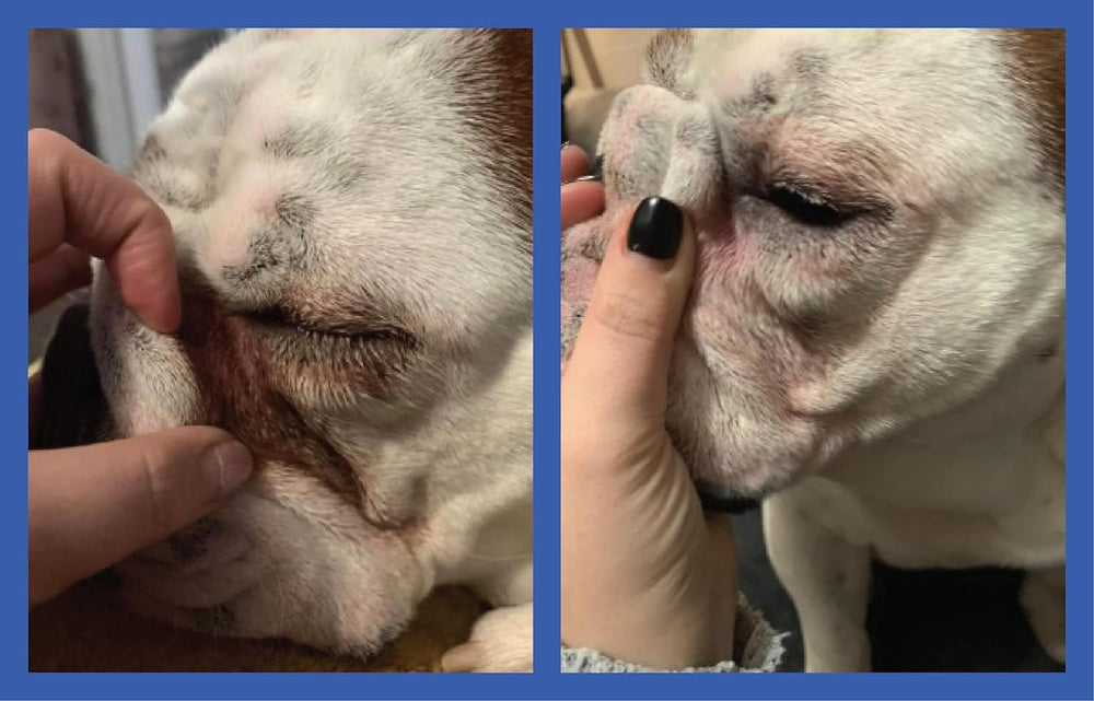 Squishface Wrinkle Paste textura suave: facilita la aplicación en la rutina diaria.