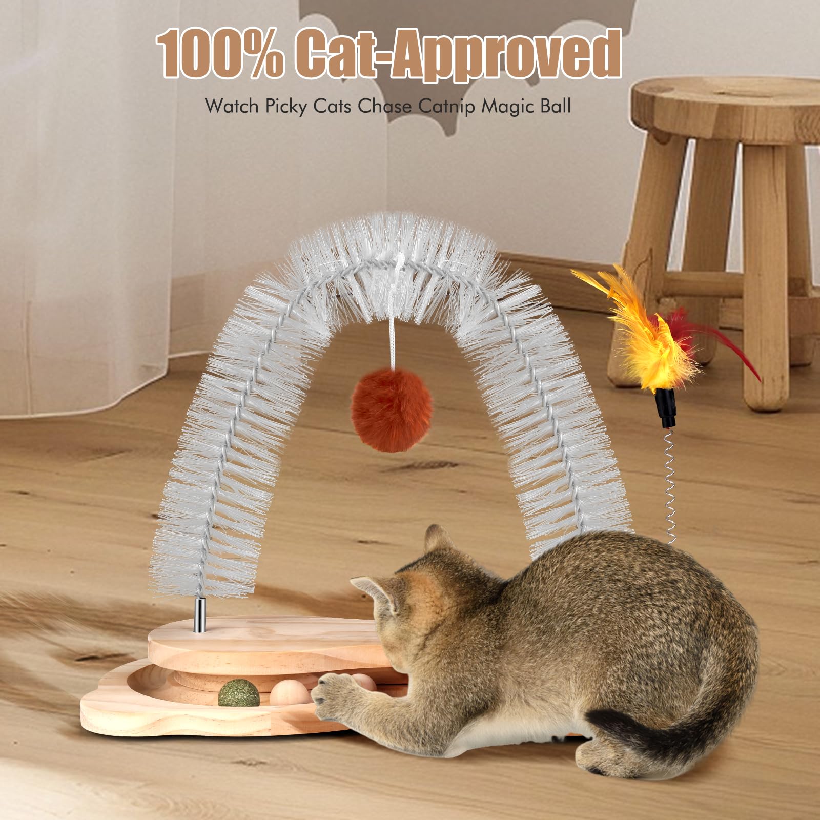 SSAWcasa Juego 4 en 1 Interactivo: solución todo en uno para gatos