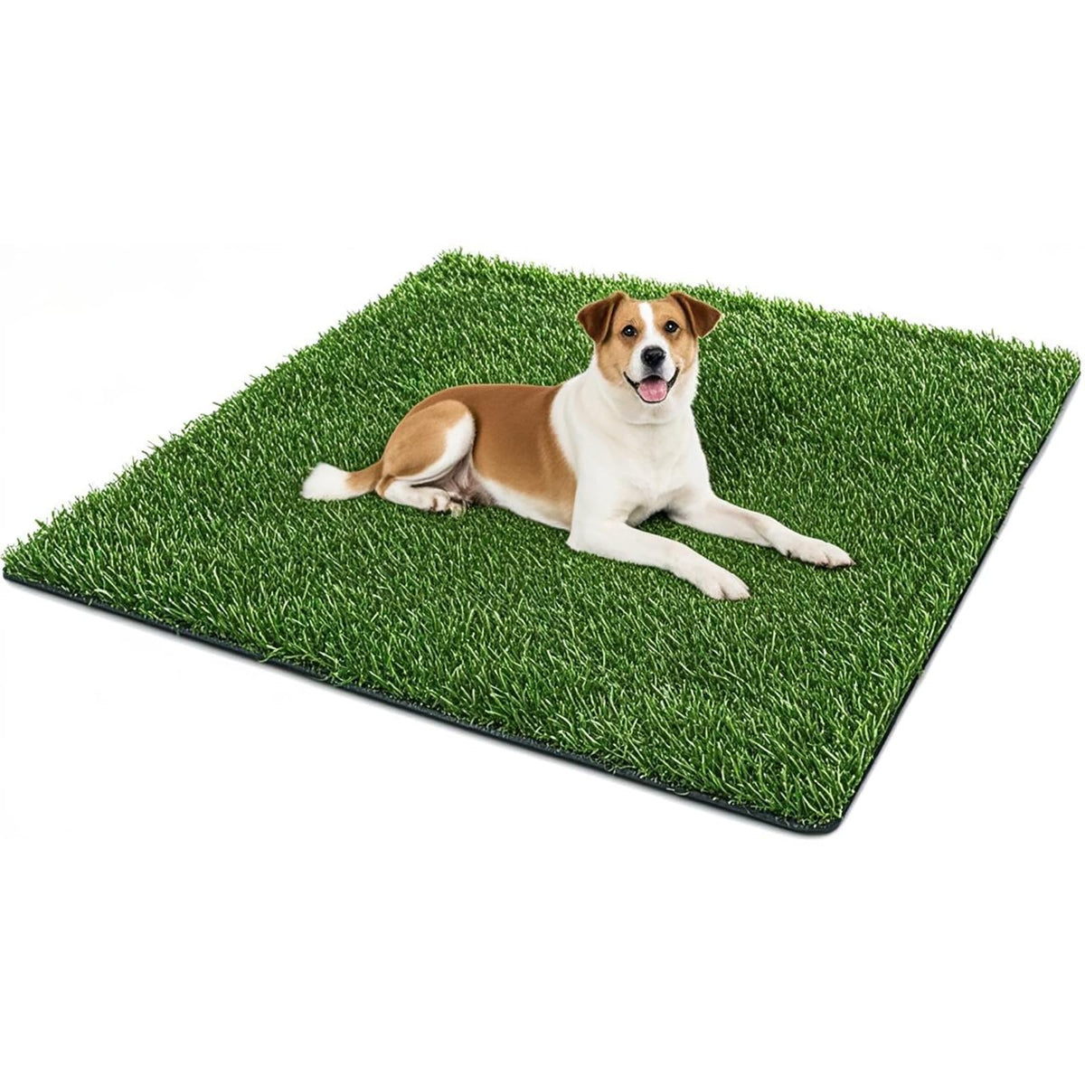 SSRIVER césped artificial para perros, ideal para entrenamiento en casa