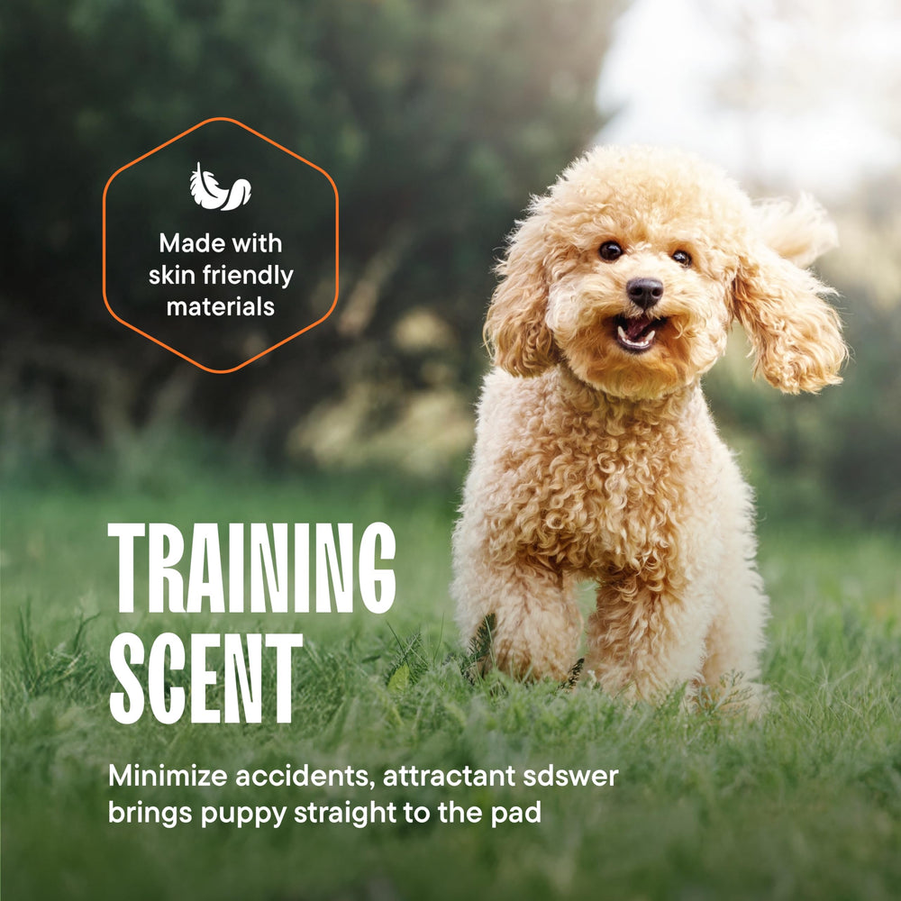 Tapete con atractor para cachorros Stack Man facilita el entrenamiento