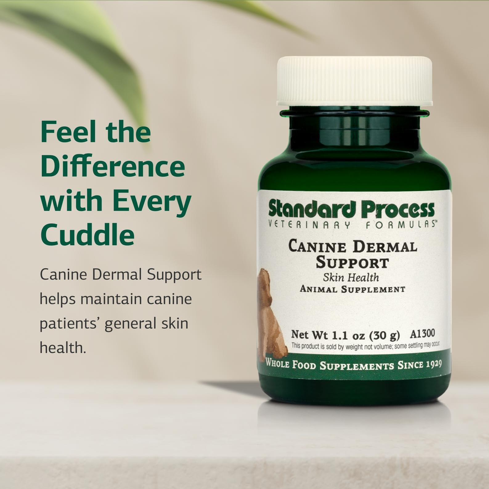 Standard Process Canine Dermal Support: polvo para mezclar en la comida diaria.