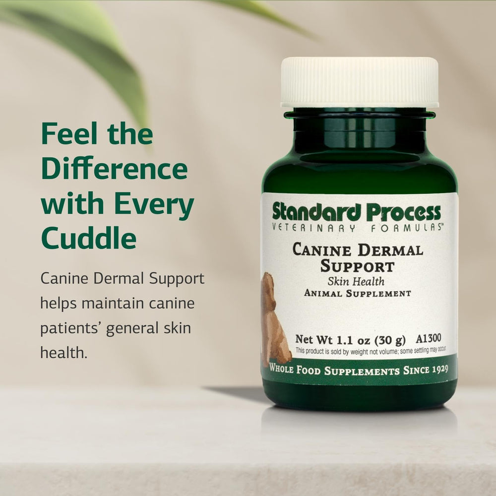 Standard Process Canine Dermal Support: polvo para mezclar en la comida diaria.