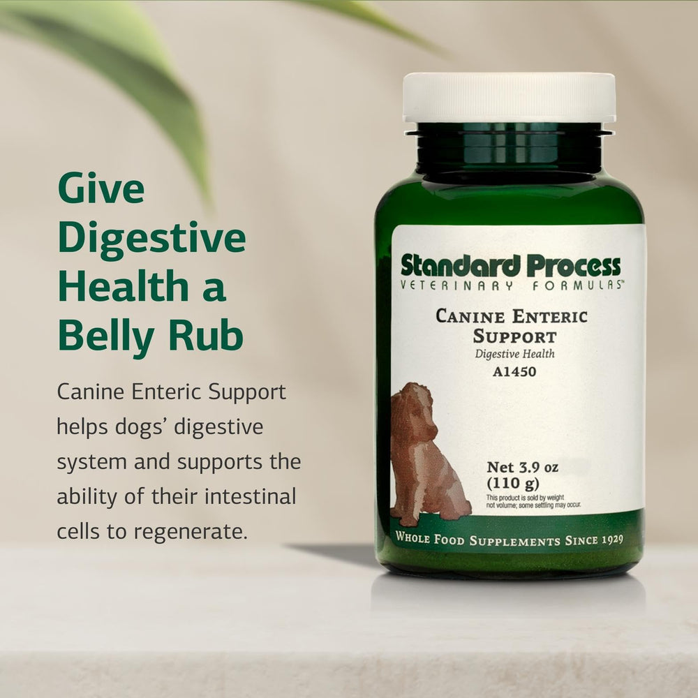 Standard Process Canine Enteric Support, ingredientes holísticos para apoyo intestinal.