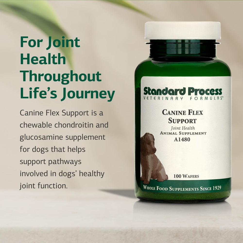 Standard Process Canine Flex Support fortalece el sistema inmunitario con vitaminas antioxidantes.