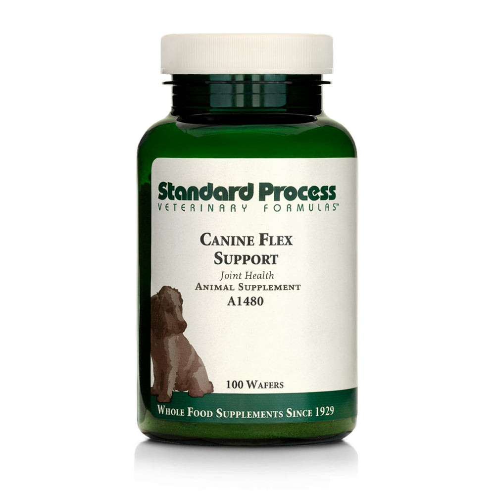 Standard Process Canine Flex Support: tabletas masticables para movilidad diaria del perro.