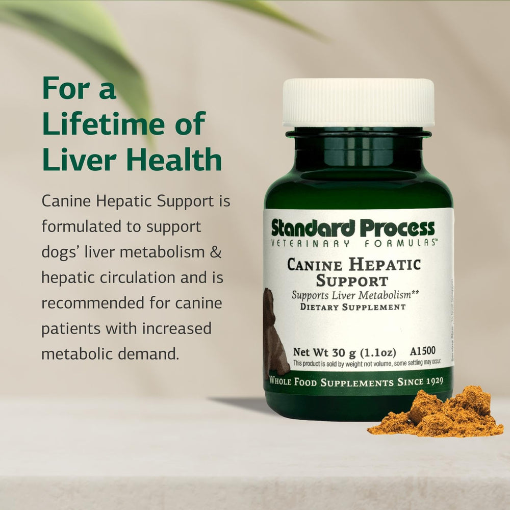 Standard Process Canine Hepatic Support: polvo mezclándose con comida para facilitar la ingesta
