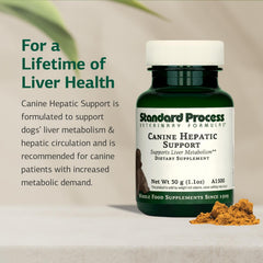 Standard Process Canine Hepatic Support: polvo mezclándose con comida para facilitar la ingesta