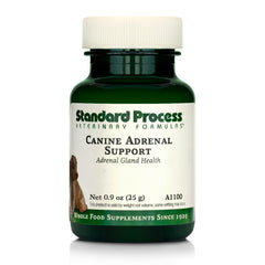 Standard Process Canino Adrenal Support en envase de polvo para apoyo adrenal.