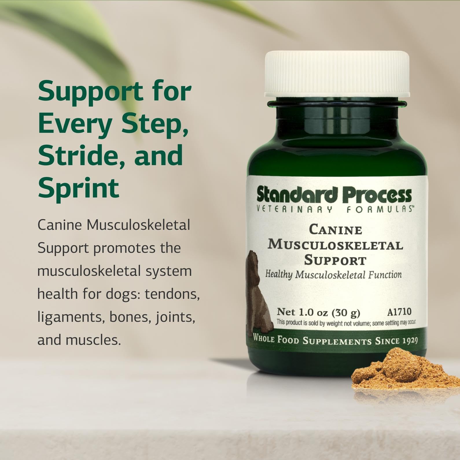 Standard Process Canino con Boswellia serrata para articulaciones saludables.