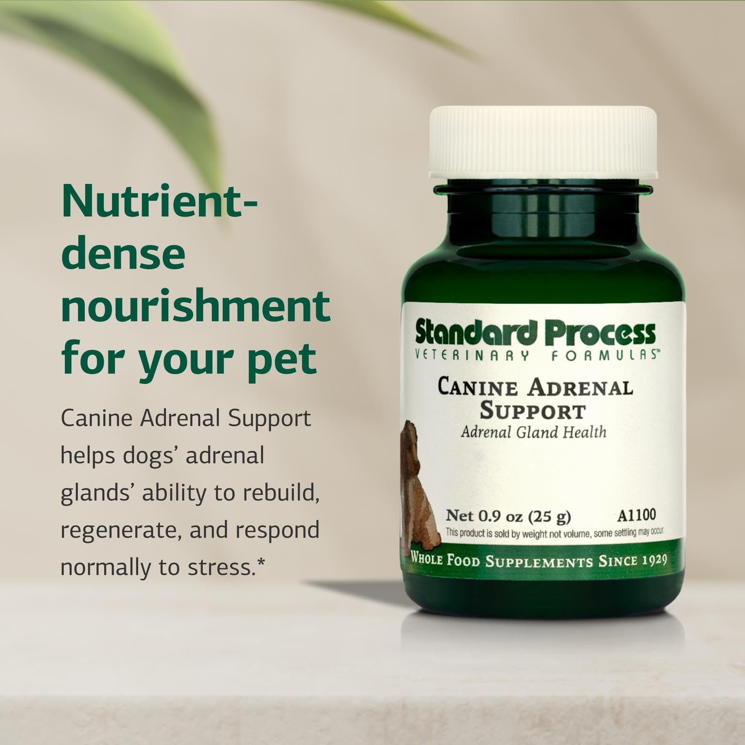 Standard Process Canino medidor grande para dosis según peso.