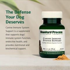 Standard Process Canino Salud General polvo: complemento para bienestar diario.