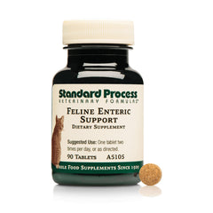 Standard Process Felino Soporte Entérico – botella para digestión felina y tranquilidad diaria.