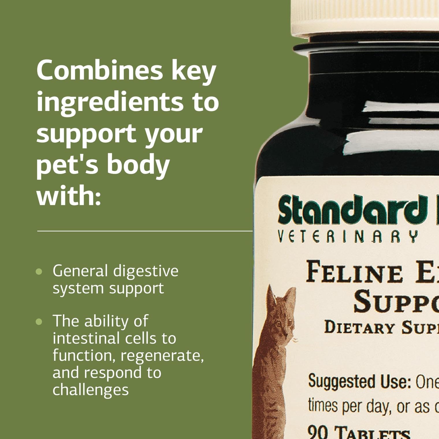 Standard Process Felino Soporte Entérico – dosis oral directa para administración simple.