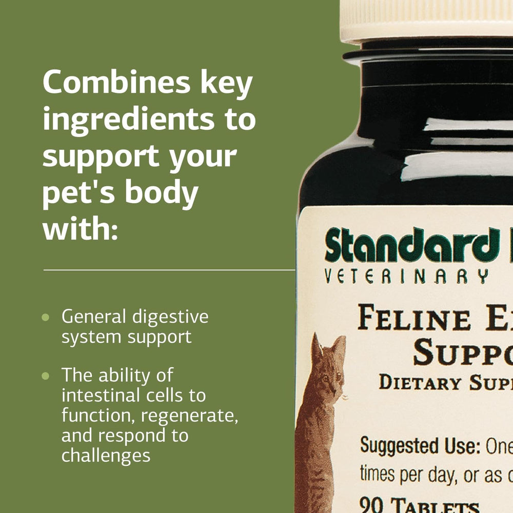 Standard Process Felino Soporte Entérico – dosis oral directa para administración simple.