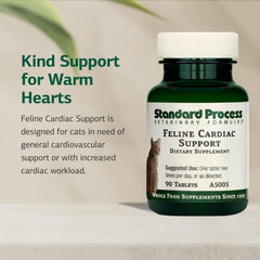 Tabletas de Standard Process Feline Cardiac Support en mano para dosis diaria.