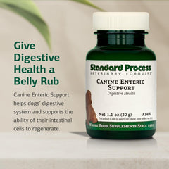 Cuchara de 1/2 de Standard Process Soporte intestinal canino para dosis grande