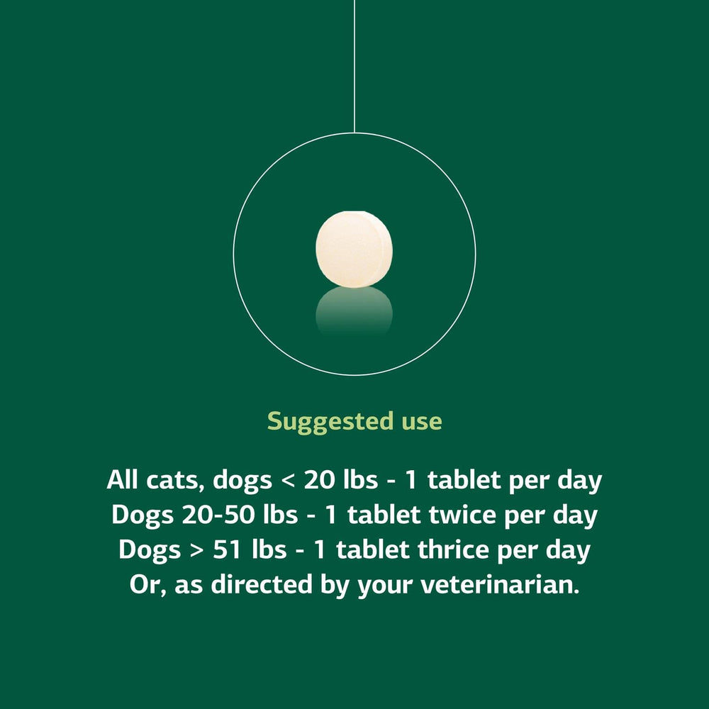 Standard Process VF Antronex para Mascotas: imagen de ingredientes y formulación