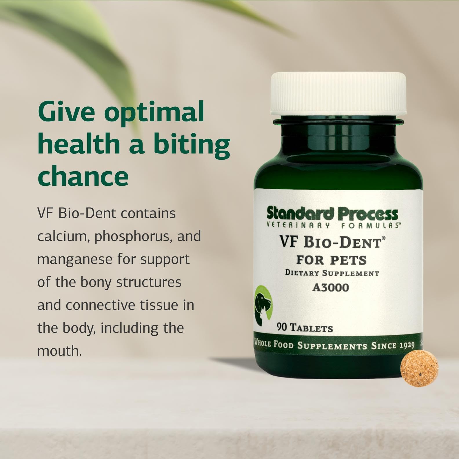 Standard Process VF Bio-Dent envase mostrando el producto para mascotas.