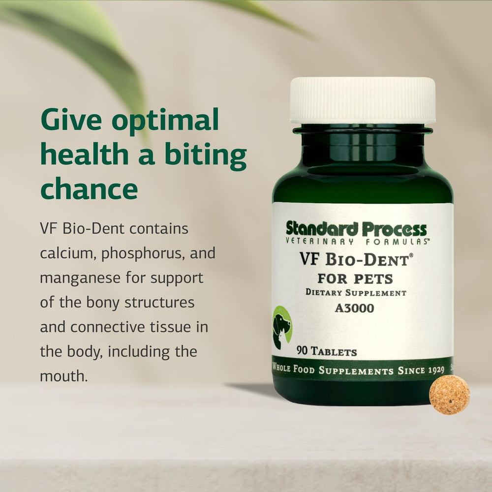 Standard Process VF Bio-Dent envase mostrando el producto para mascotas.