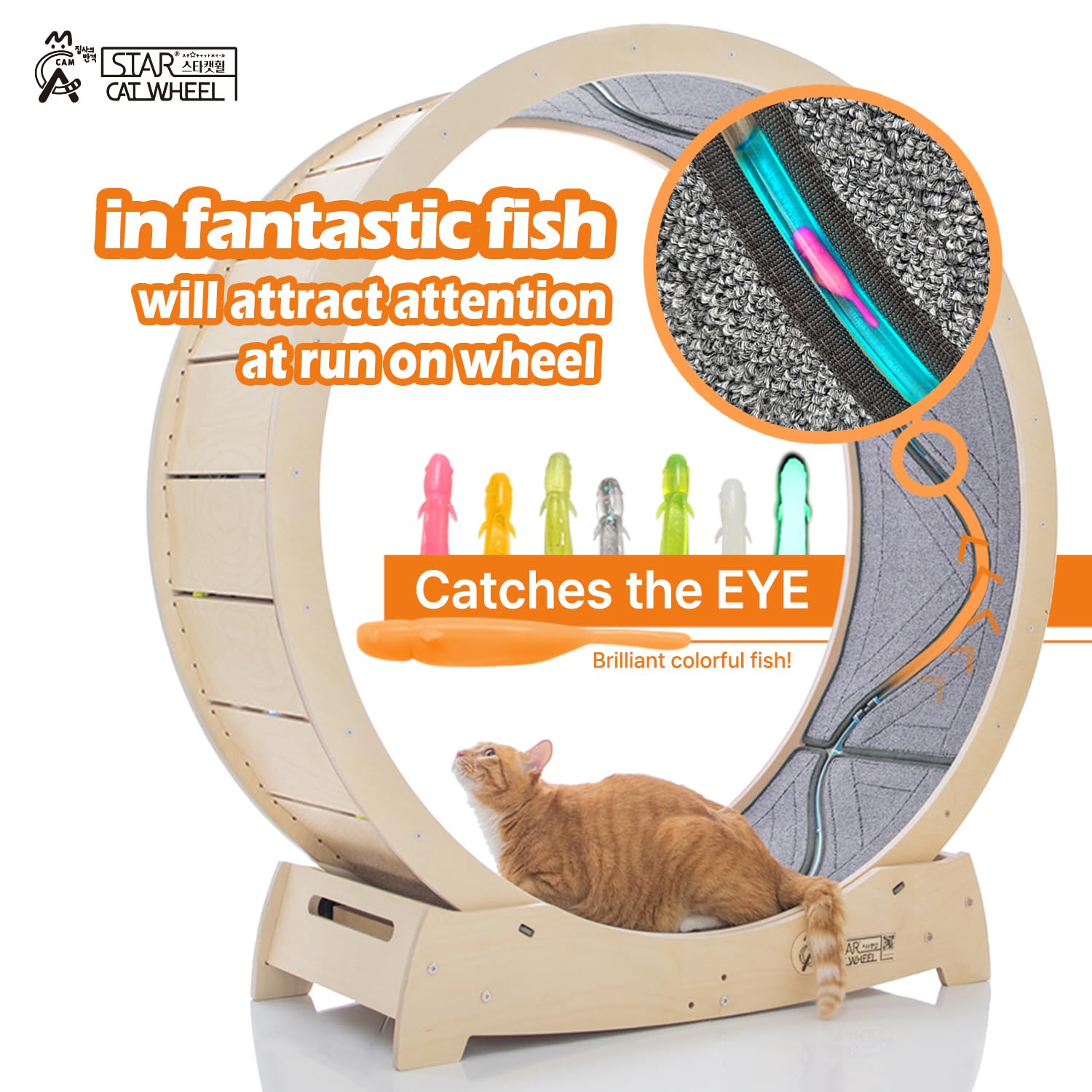 Star Catwheel pista amplia para varios felinos y mayor comodidad.