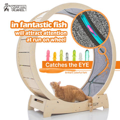 Star Catwheel pista amplia para varios felinos y mayor comodidad.