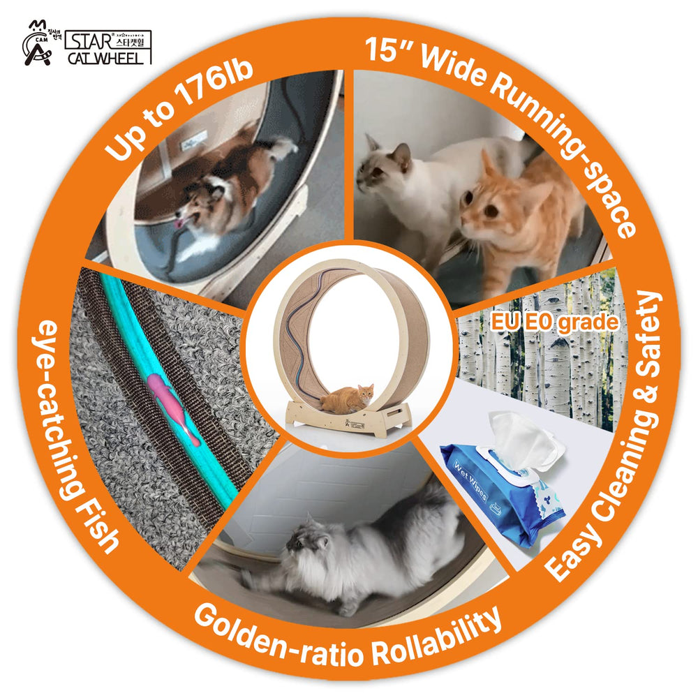 Star Catwheel uso en interiores para gatos activos.